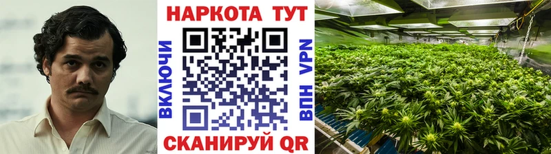 Где купить наркотики Нерюнгри кракен маркетплейс  A PVP  Марихуана  Гашиш  COCAIN 