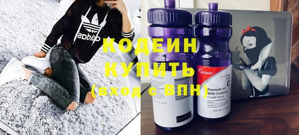 индика Дмитриев