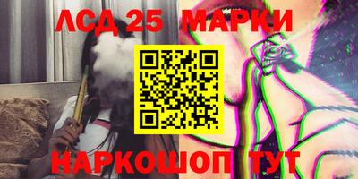 гидра Заводоуковск