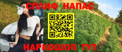 гидра Заводоуковск