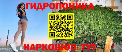 гидра Заводоуковск