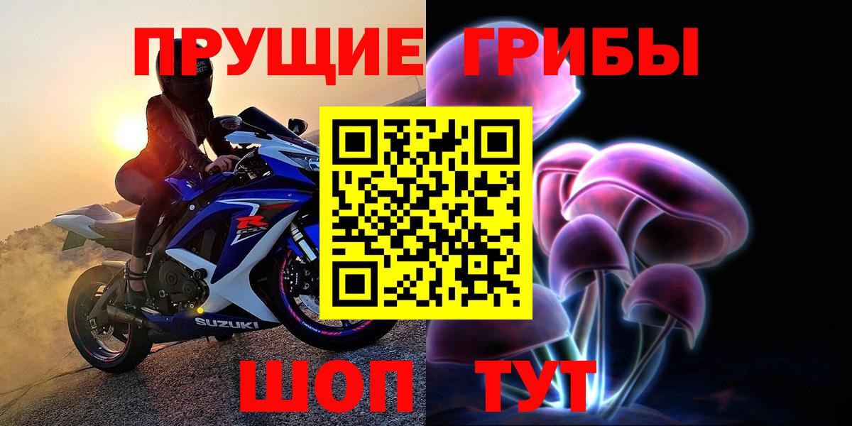 Галлюциногенные грибы прущие грибы  как найти закладки  Псилоцибиновые грибы Psilocybine cubensis  Нерюнгри 