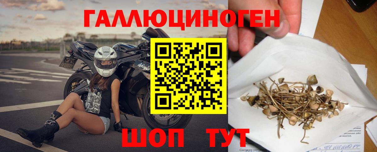 Канабис  ГАШ  Нерюнгри  Вход с VPN  ГАШИШ  Меф   COCAIN 